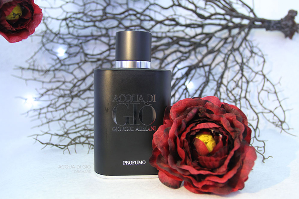 img_5973 Giorgio Armani Acqua Di Gio Profumo Pour Homme